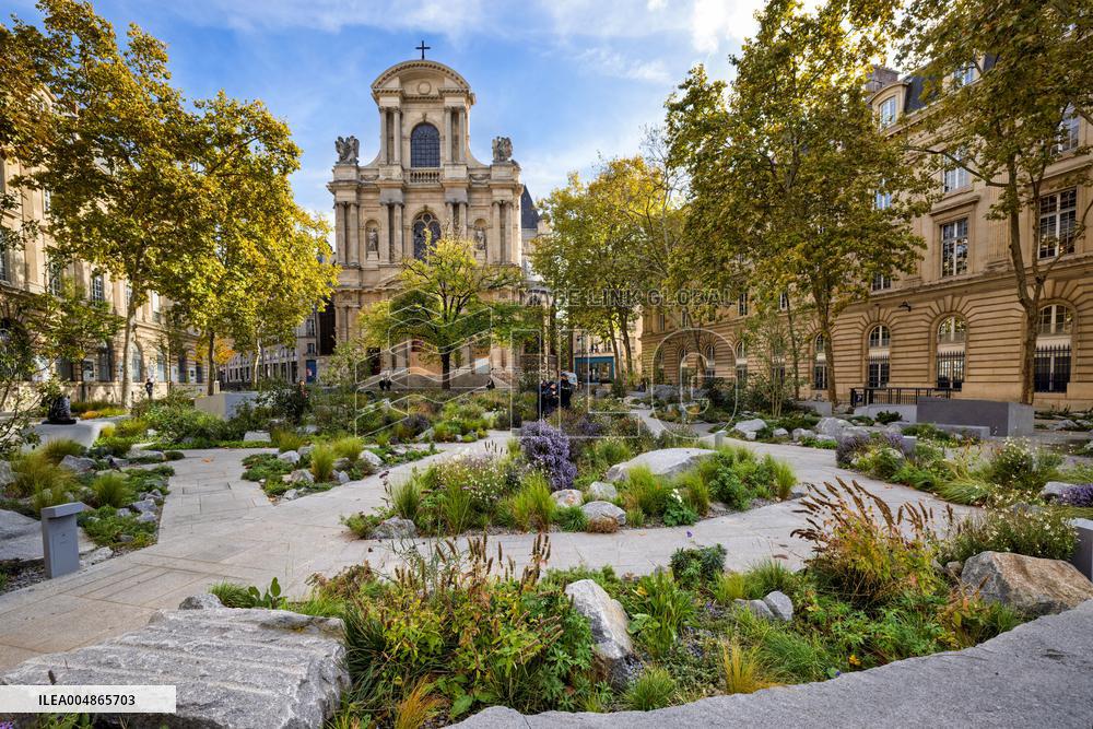 Garden In Tribute To The Victims Of The Paris Attacks - France