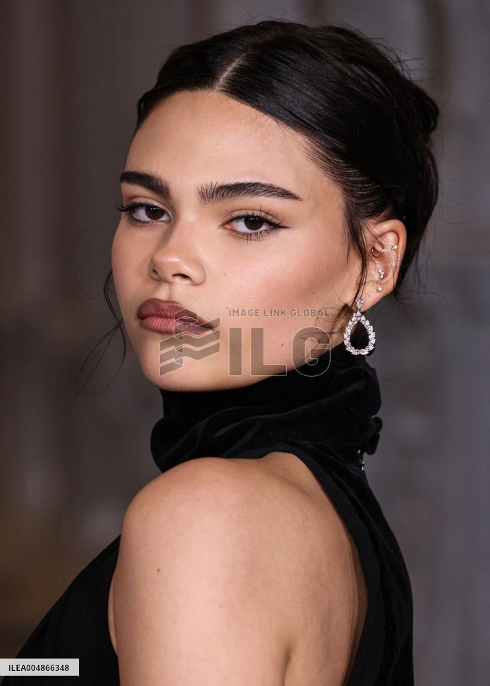 14th Annual LACMA Art Film Gala 2025 - LA