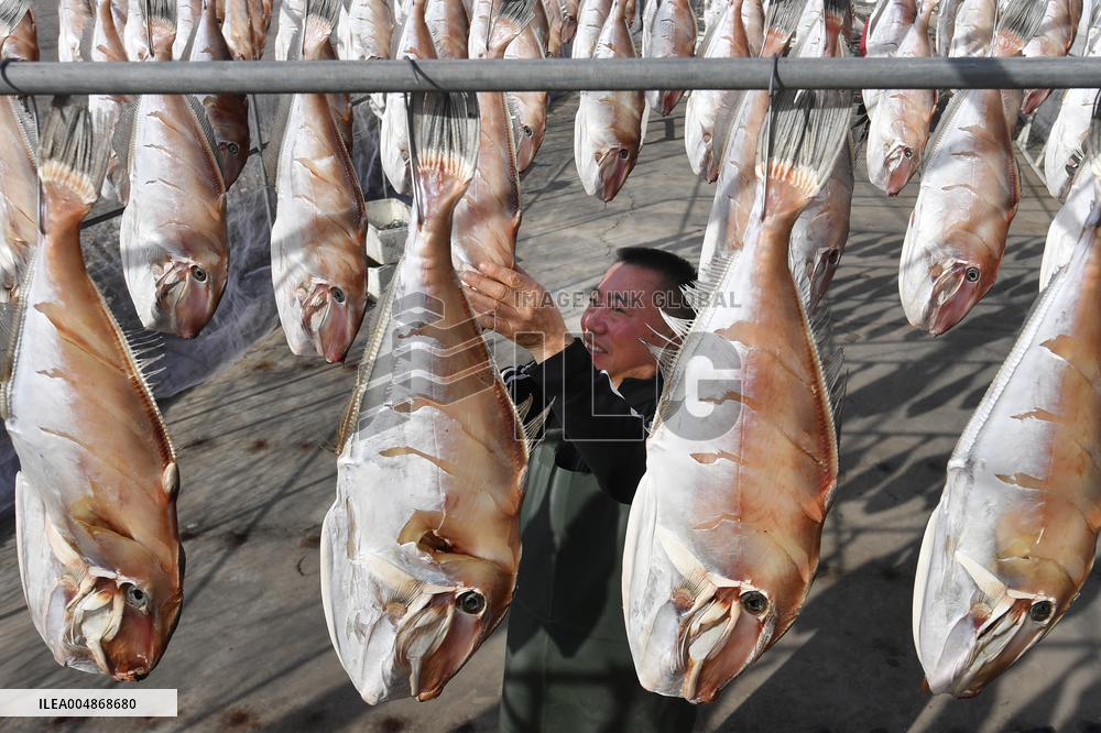Drying Dried Fish in Qingdao