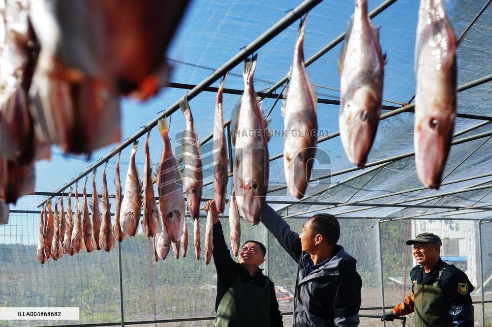Drying Dried Fish in Qingdao