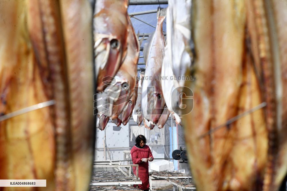 Drying Dried Fish in Qingdao