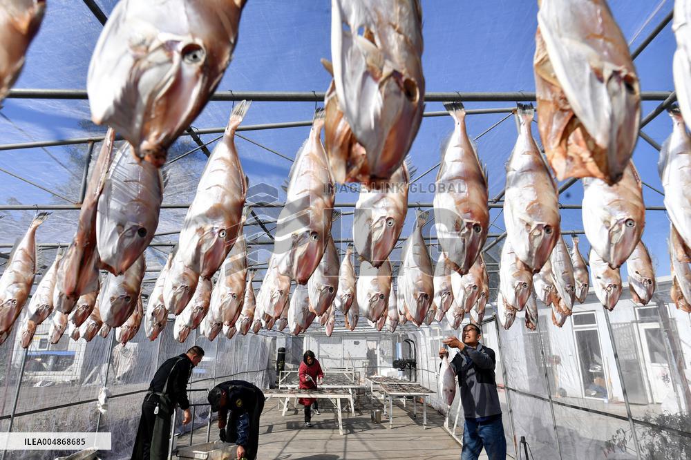 Drying Dried Fish in Qingdao