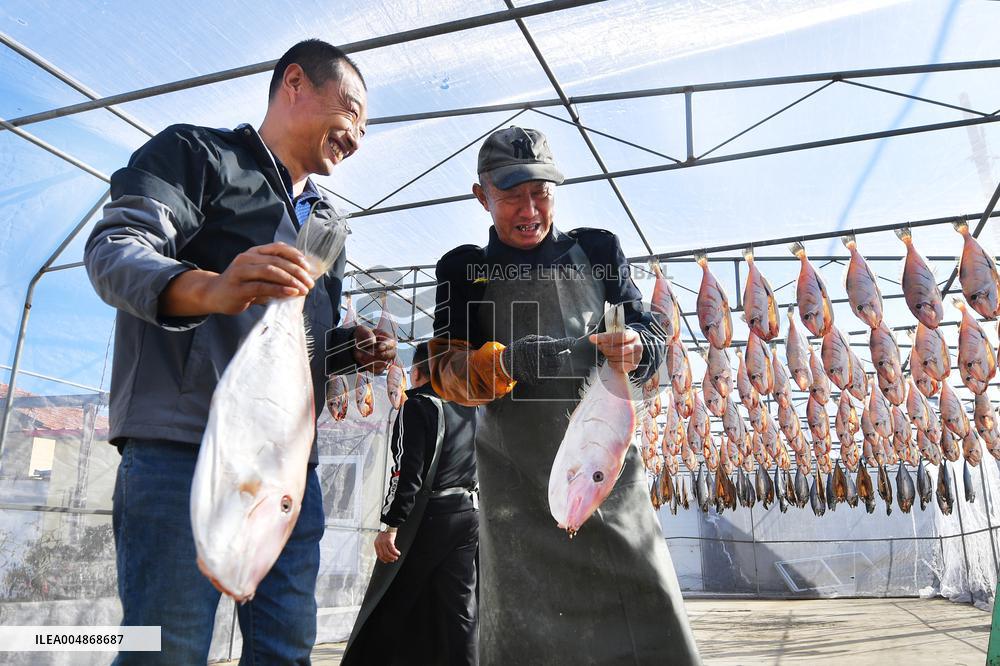 Drying Dried Fish in Qingdao