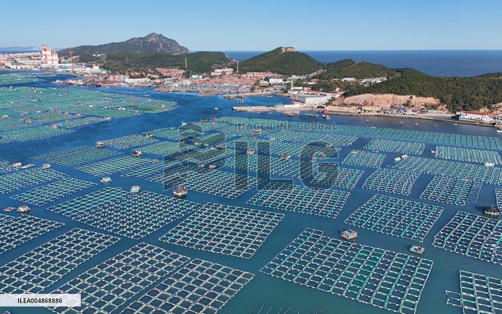 China Gross Marine Product