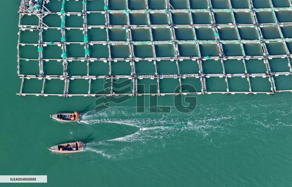 China Gross Marine Product