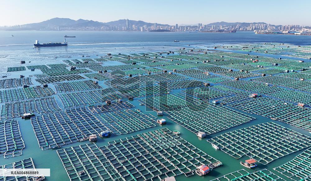 China Gross Marine Product