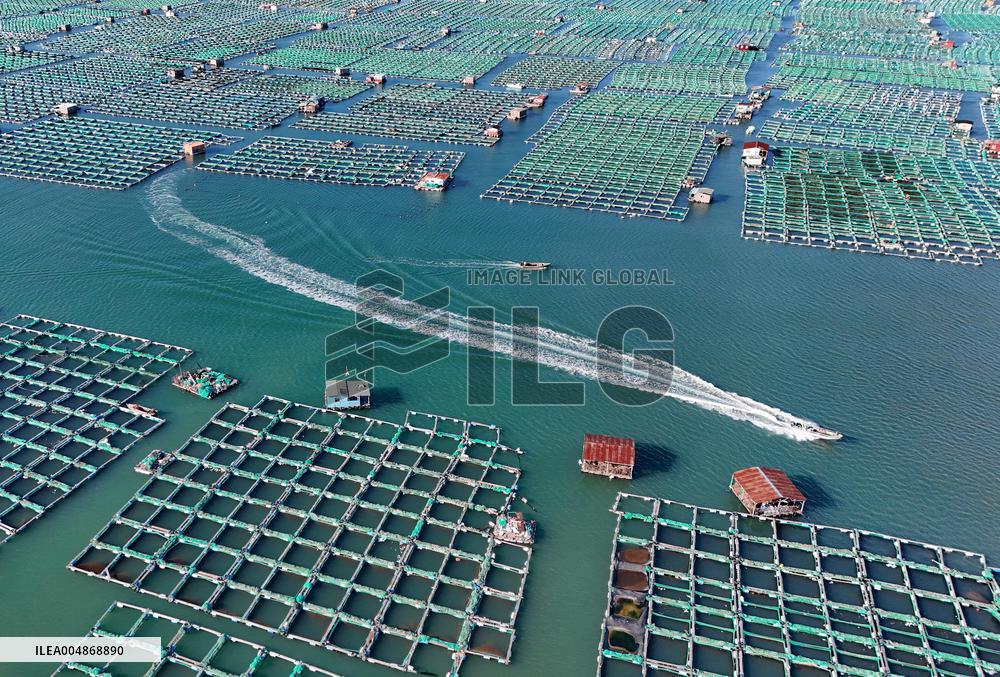 China Gross Marine Product