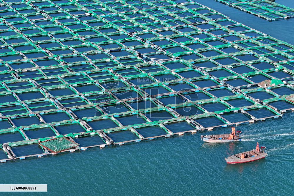 China Gross Marine Product