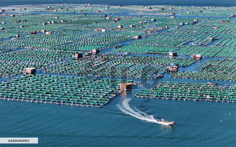 China Gross Marine Product