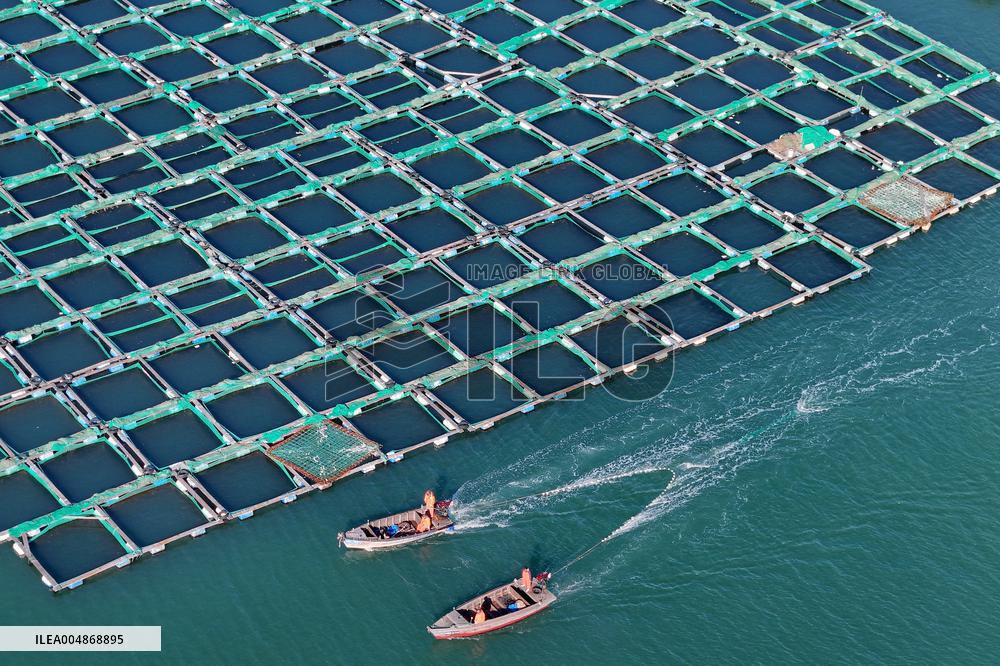 China Gross Marine Product