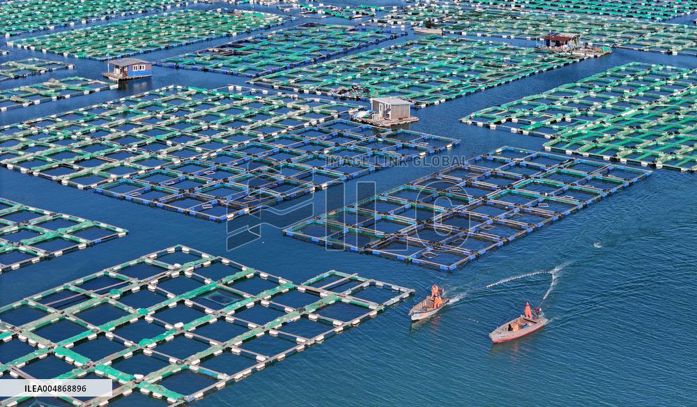 China Gross Marine Product