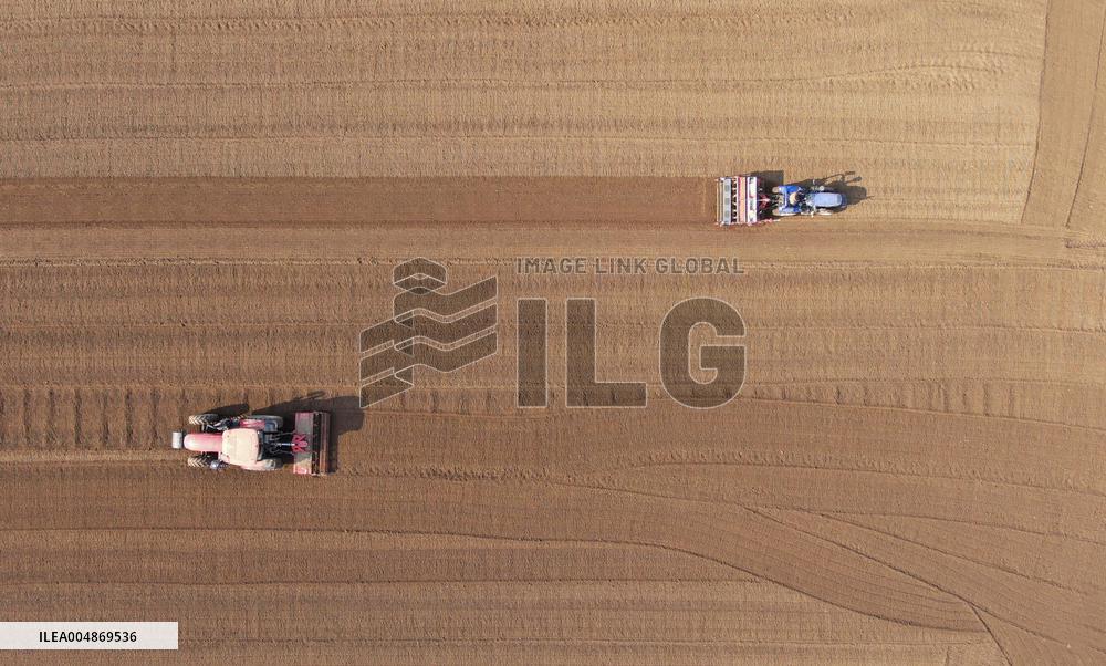 Grain Harvest - China