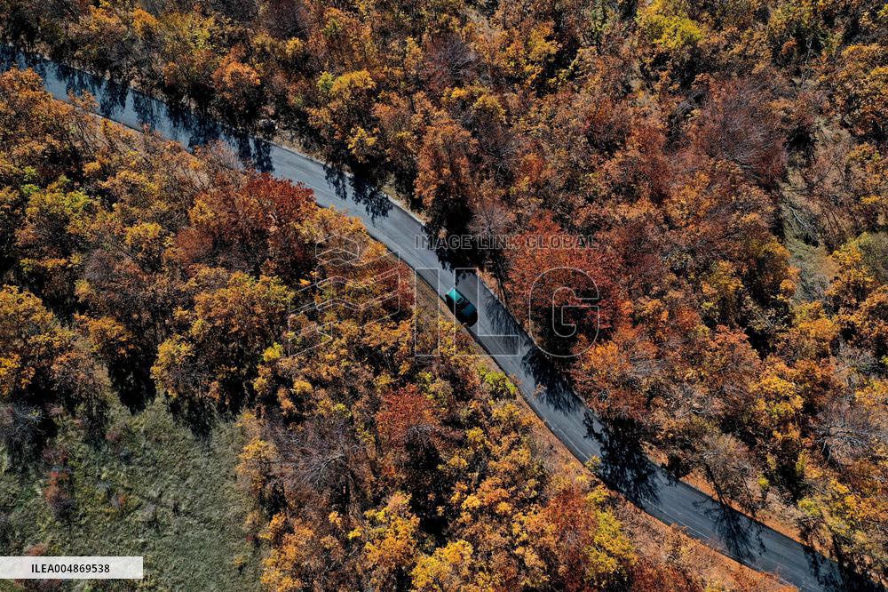 Autumn View - Skopje