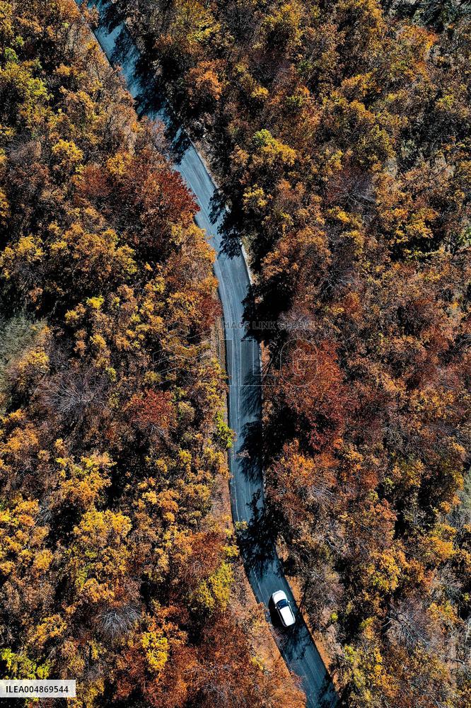 Autumn View - Skopje