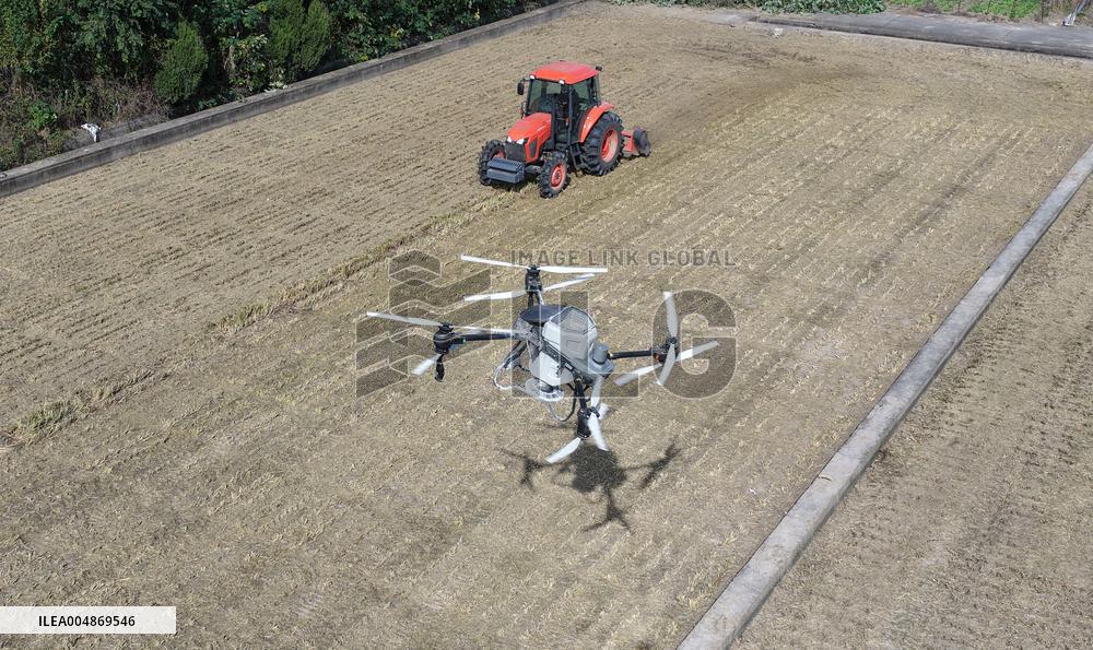 Grain Harvest - China