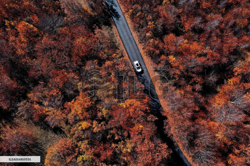 Autumn View - Skopje