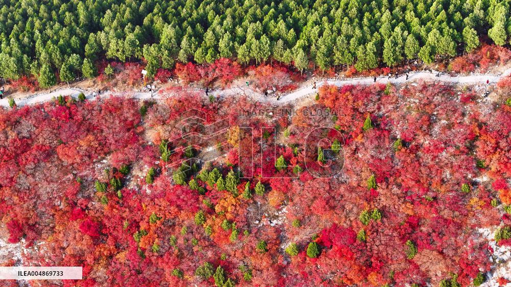 Autumn View In Jinan - China
