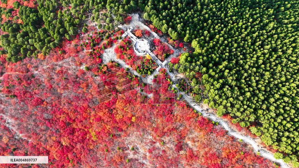 Autumn View In Jinan - China