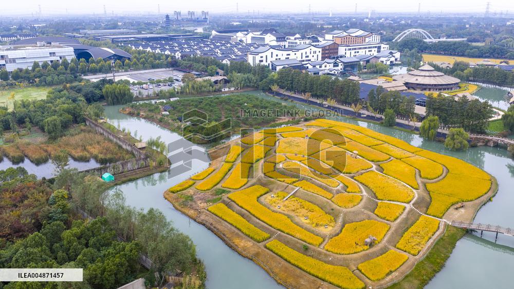 2025 World Internet Conference Wuzhen SUMMIT Preview