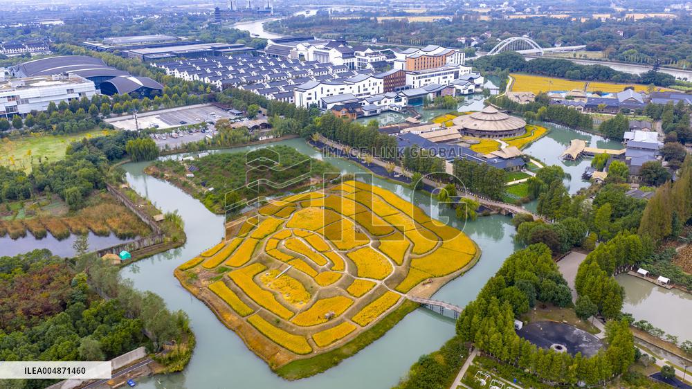 2025 World Internet Conference Wuzhen SUMMIT Preview