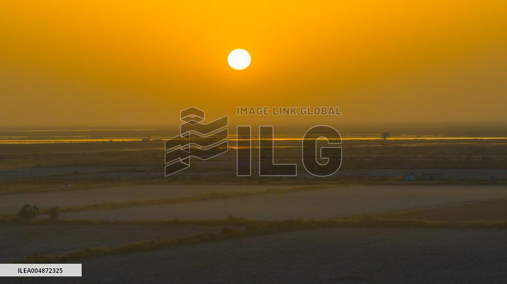 Cotton Harvest in Xinjiang