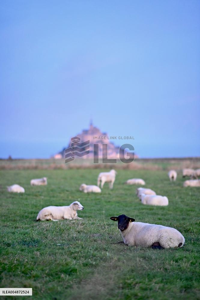 Mont-Saint-Michel and its bay in northwestern France. FC