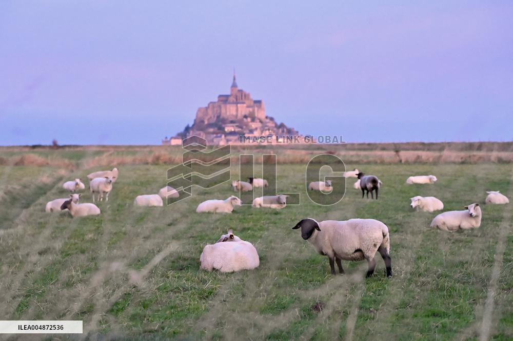 Mont-Saint-Michel and its bay in northwestern France. FC