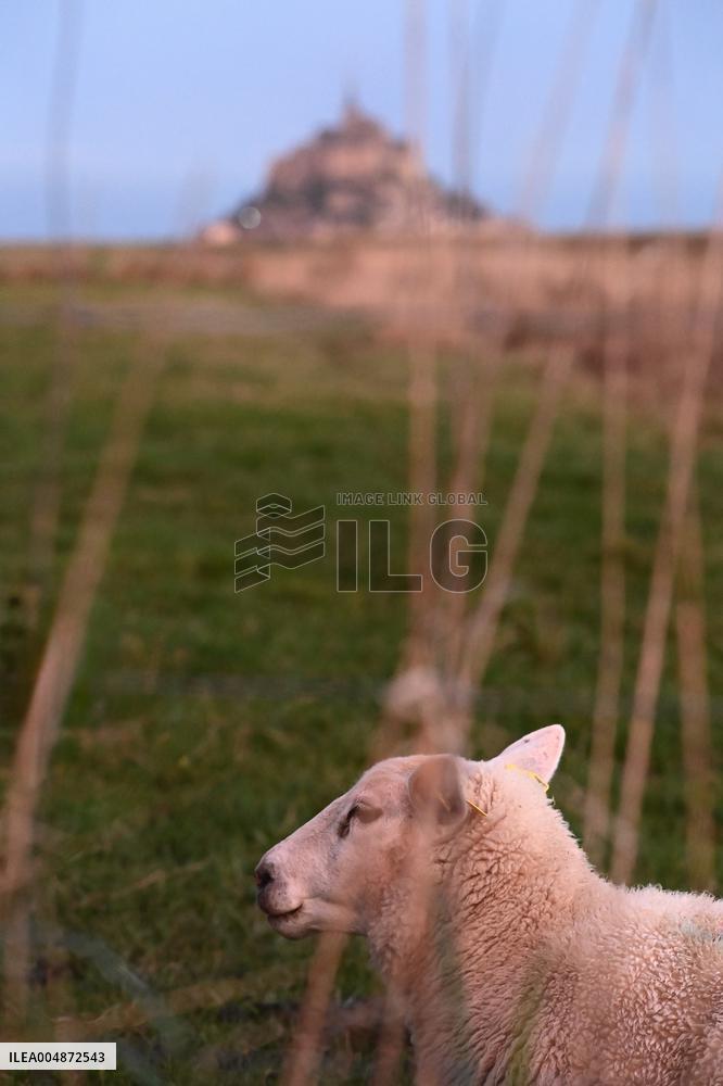 Mont-Saint-Michel and its bay in northwestern France. FC