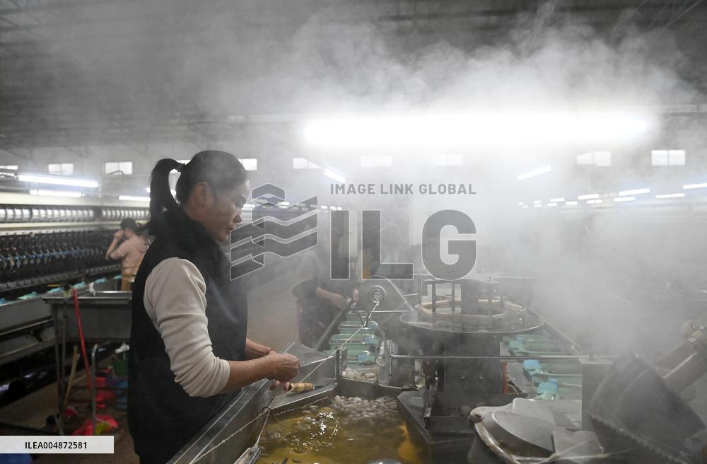 Silk Factory - China