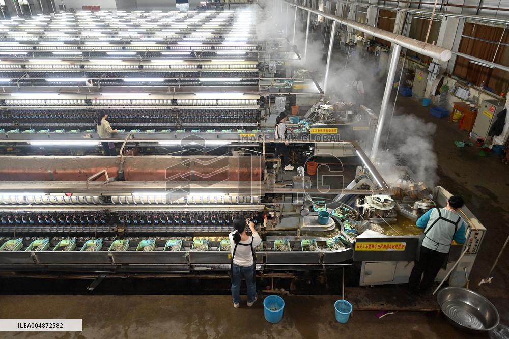 Silk Factory - China