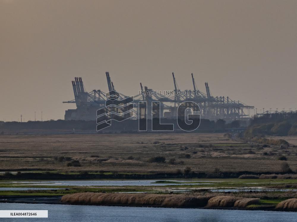 Illustration - Port du Havre