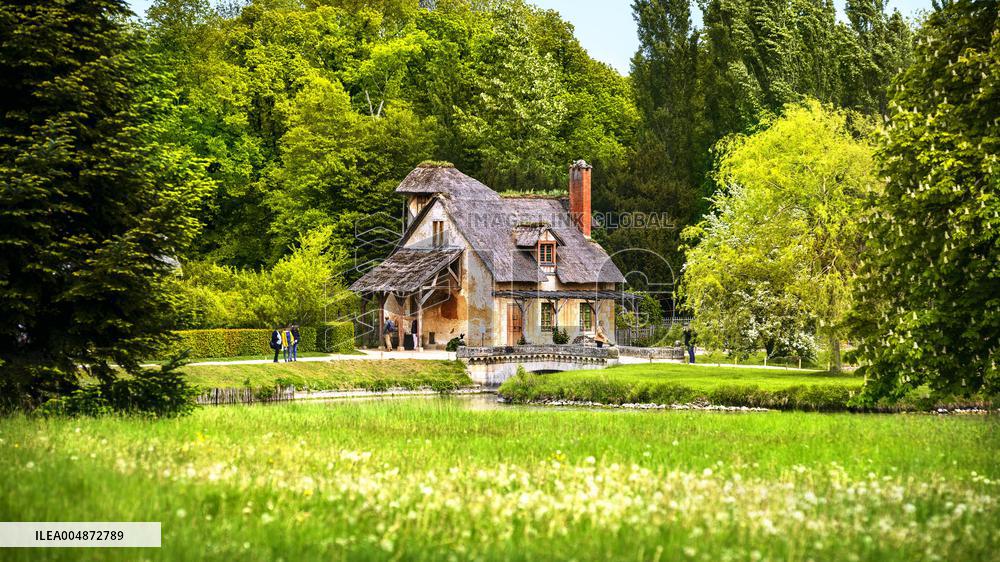 Illustration - Versailles