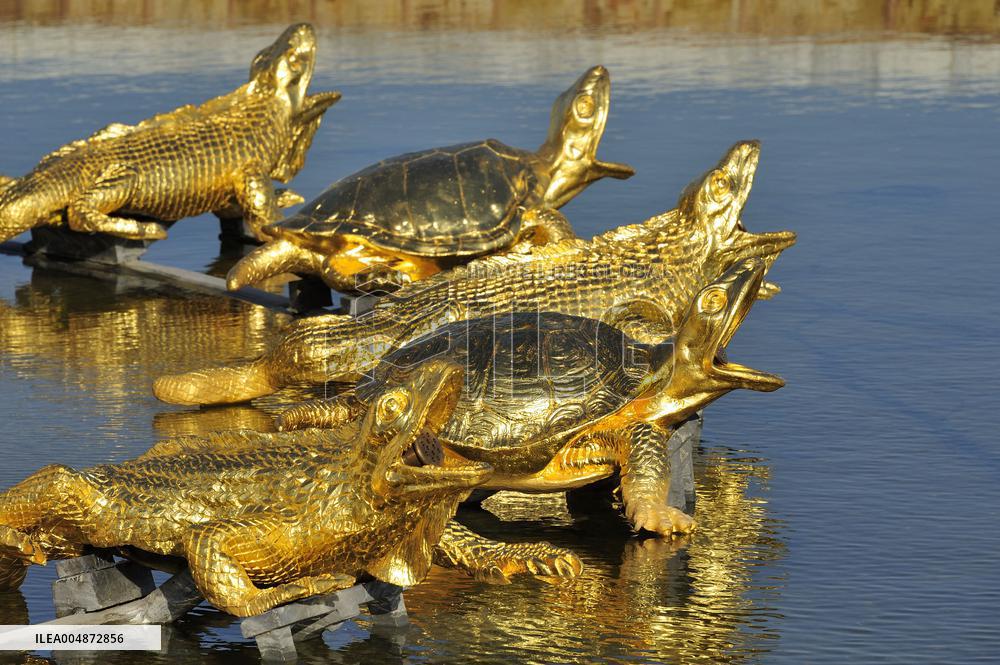 Illustration - Versailles