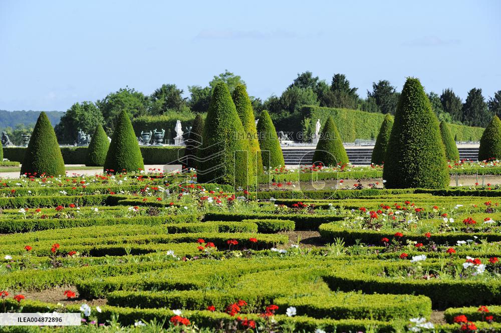 Illustration - Versailles