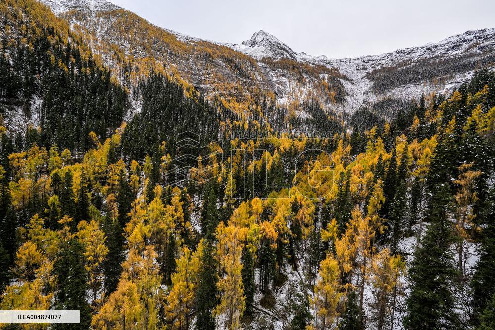 Dagu Glacier Scenic Area