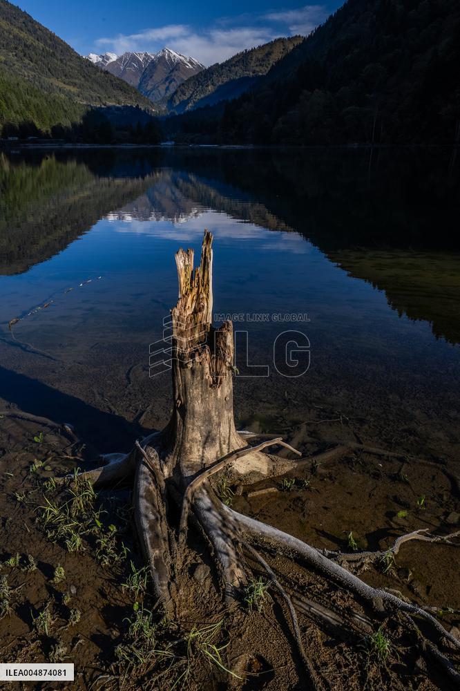 Dagu Glacier Scenic Area