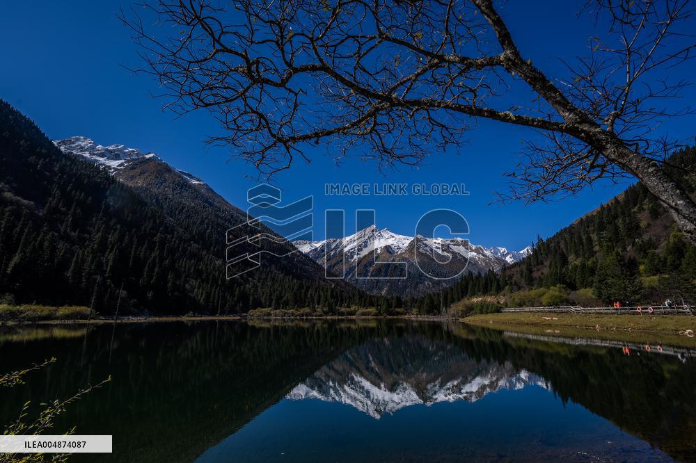 Dagu Glacier Scenic Area