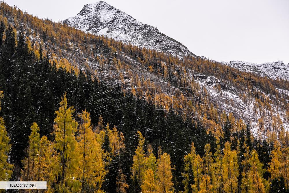 Dagu Glacier Scenic Area