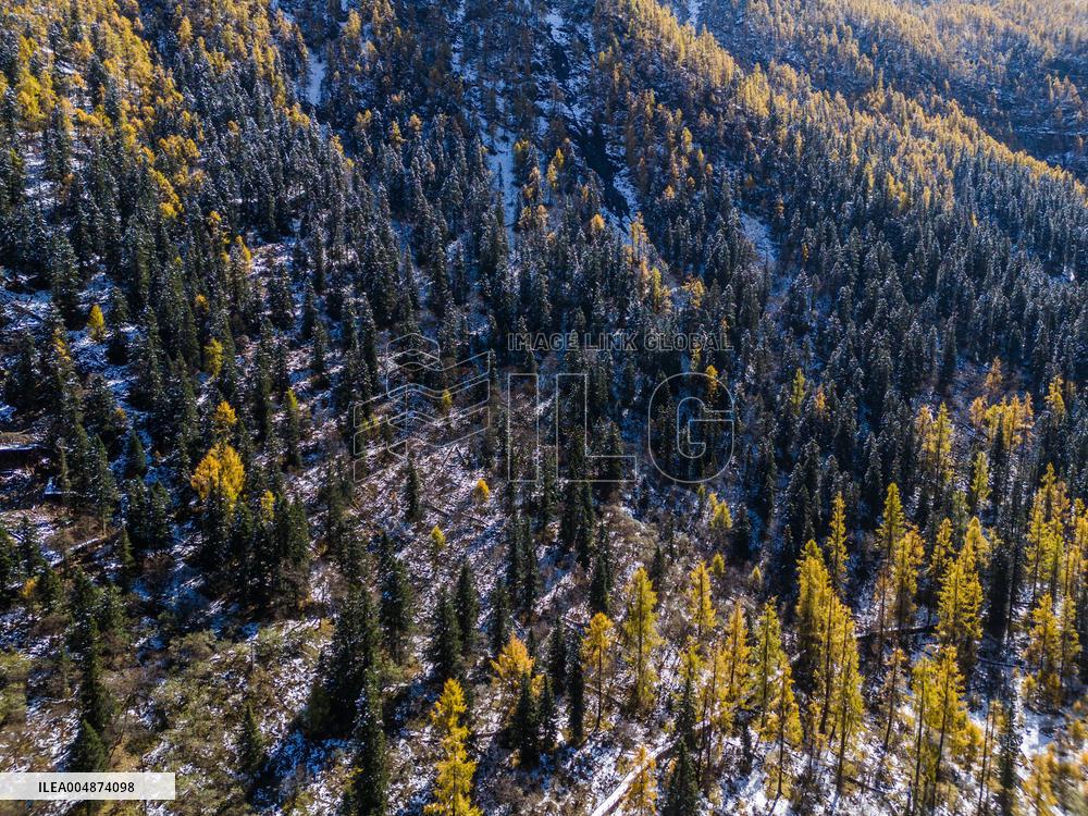 Dagu Glacier Scenic Area