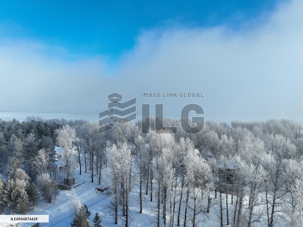 Extreme Weather Rime in the Daxing'anling region