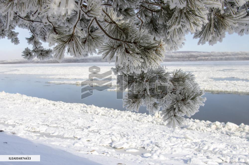 Extreme Weather Rime in the Daxing'anling region
