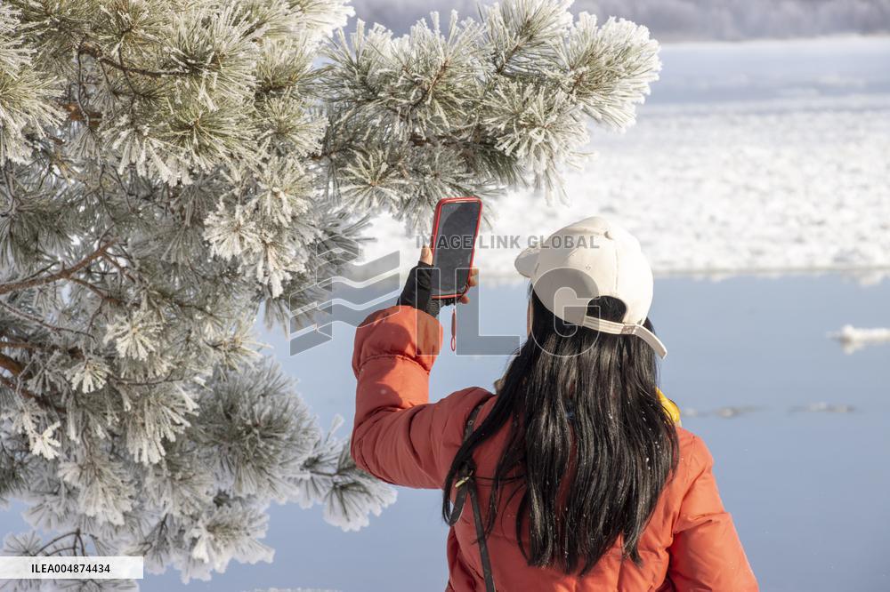 Extreme Weather Rime in the Daxing'anling region