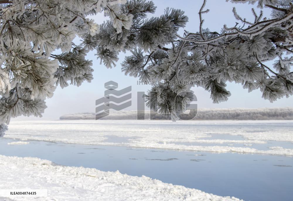 Extreme Weather Rime in the Daxing'anling region