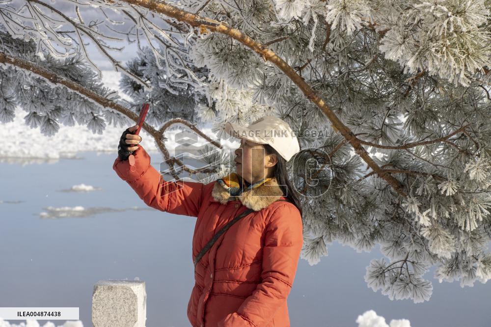 Extreme Weather Rime in the Daxing'anling region