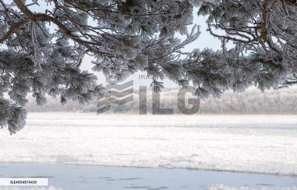 Extreme Weather Rime in the Daxing'anling region