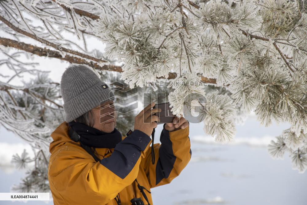 Extreme Weather Rime in the Daxing'anling region