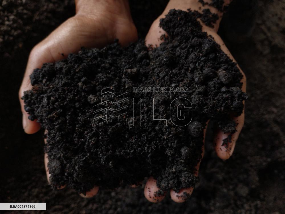 High-Quality Compost Production In Patumbak - Indonesia