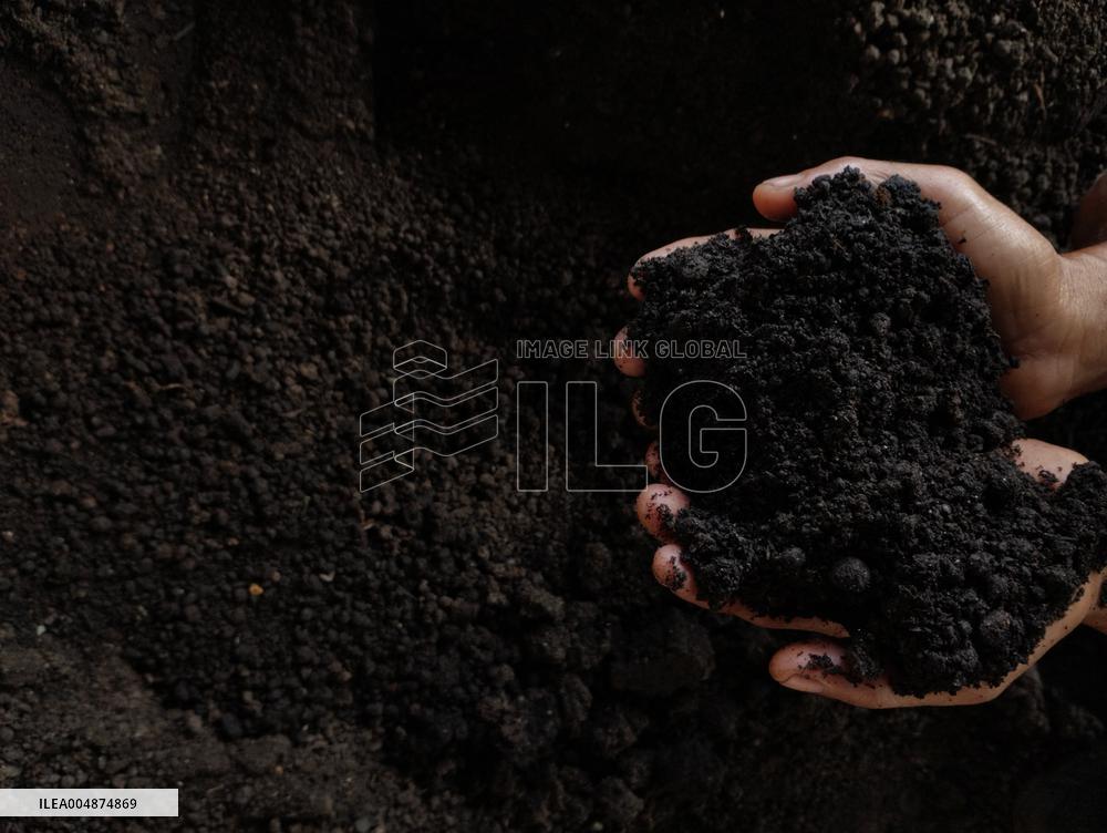 High-Quality Compost Production In Patumbak - Indonesia