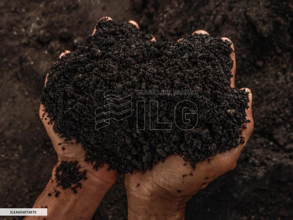 High-Quality Compost Production In Patumbak - Indonesia