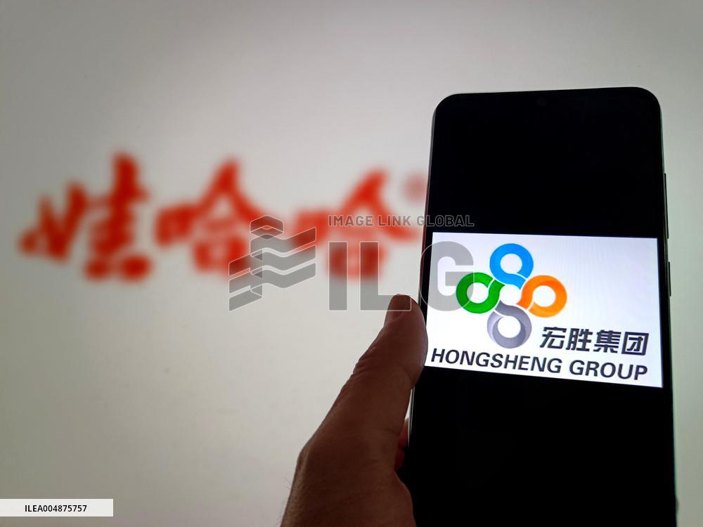 Illustration Hongsheng Group